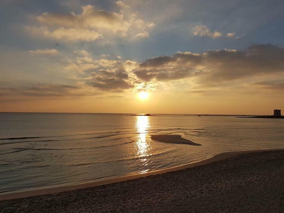 Vev Salento Bed & Breakfast Porto Cesareo Exterior photo