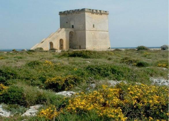 Vev Salento Bed & Breakfast Porto Cesareo Exterior photo